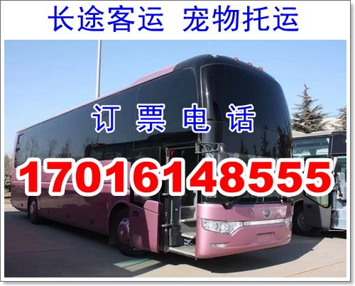 渭南到铜川多少汽车